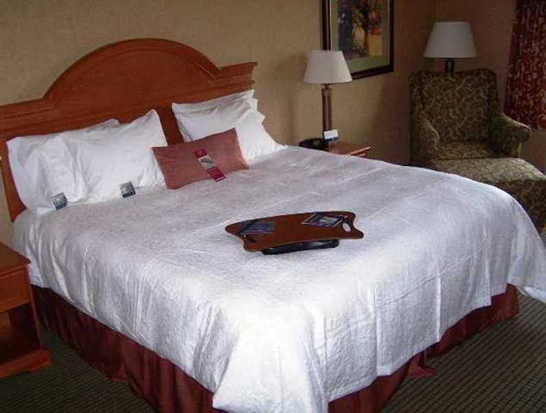 Hampton Inn & Suites Yuba City Rum bild